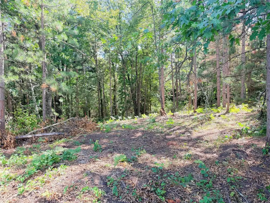 Lot 3 Boat Landing Road, Ladysmith, WI 54848 - #1