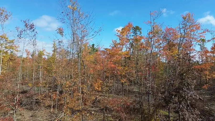 Address Withheld By Seller, Exeland, WI 54835 - #2