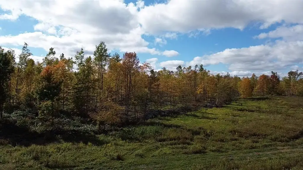 126XX Fairman Lane, Exeland, WI 54835 - #1