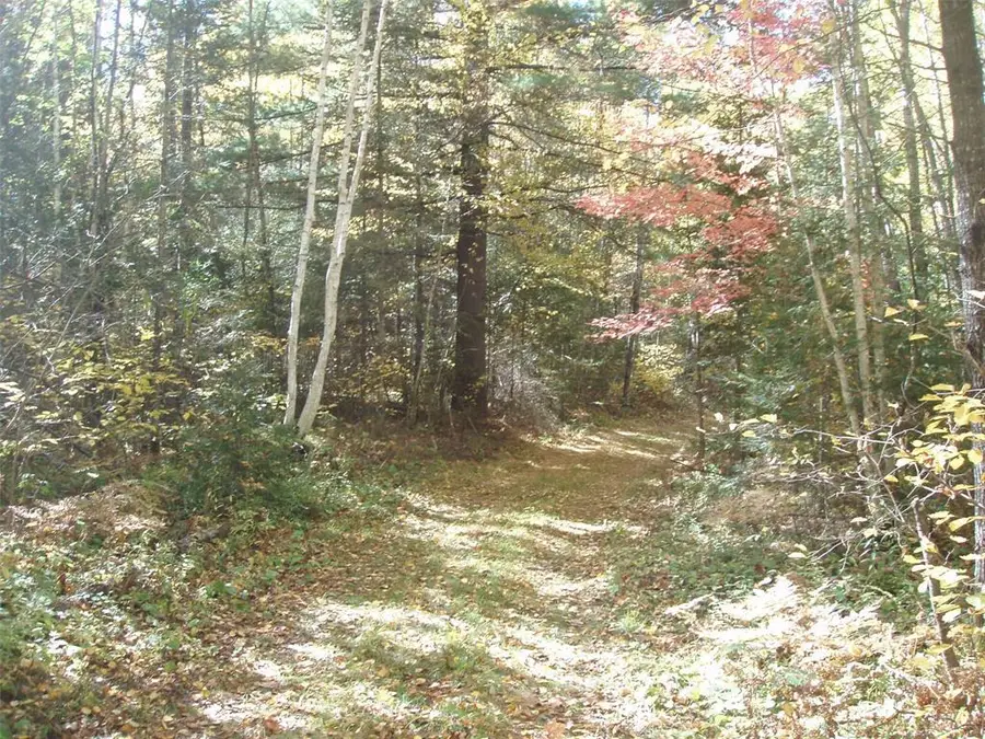 40+/- Acres Off Brimstein Road, Park Falls, WI 54552 - #2