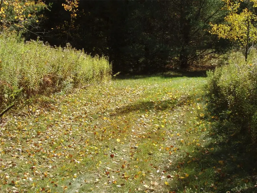 40+/- Acres Off Brimstein Road, Park Falls, WI 54552 - #3