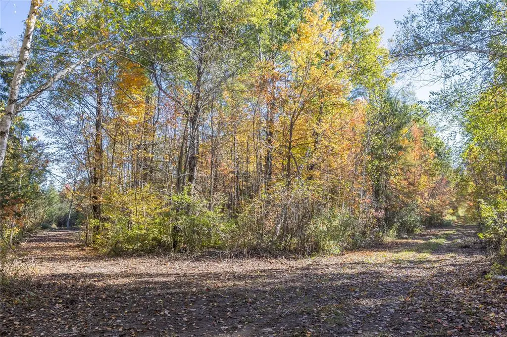 5 Acres Aggie Lane, Ladysmith, WI 54848 - #1