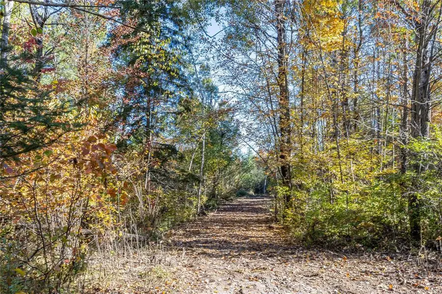 5 Acres Aggie Lane, Ladysmith, WI 54848 - #3
