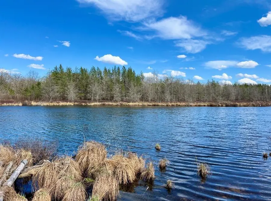 9524 E Bergin Springs Road, Solon Springs, WI 54873 - #3