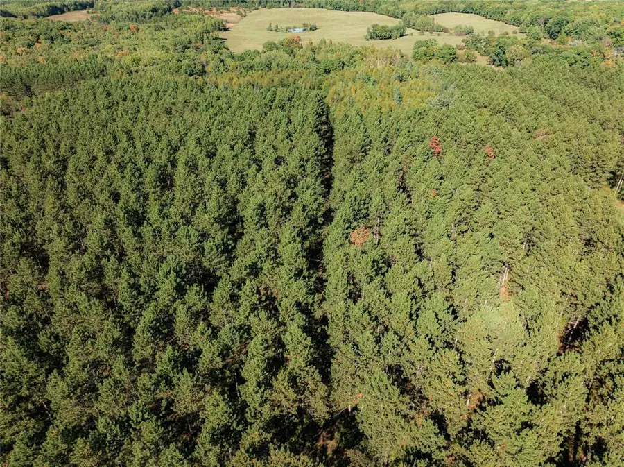 0 5th Avenue, Trego, WI 54888 - #3