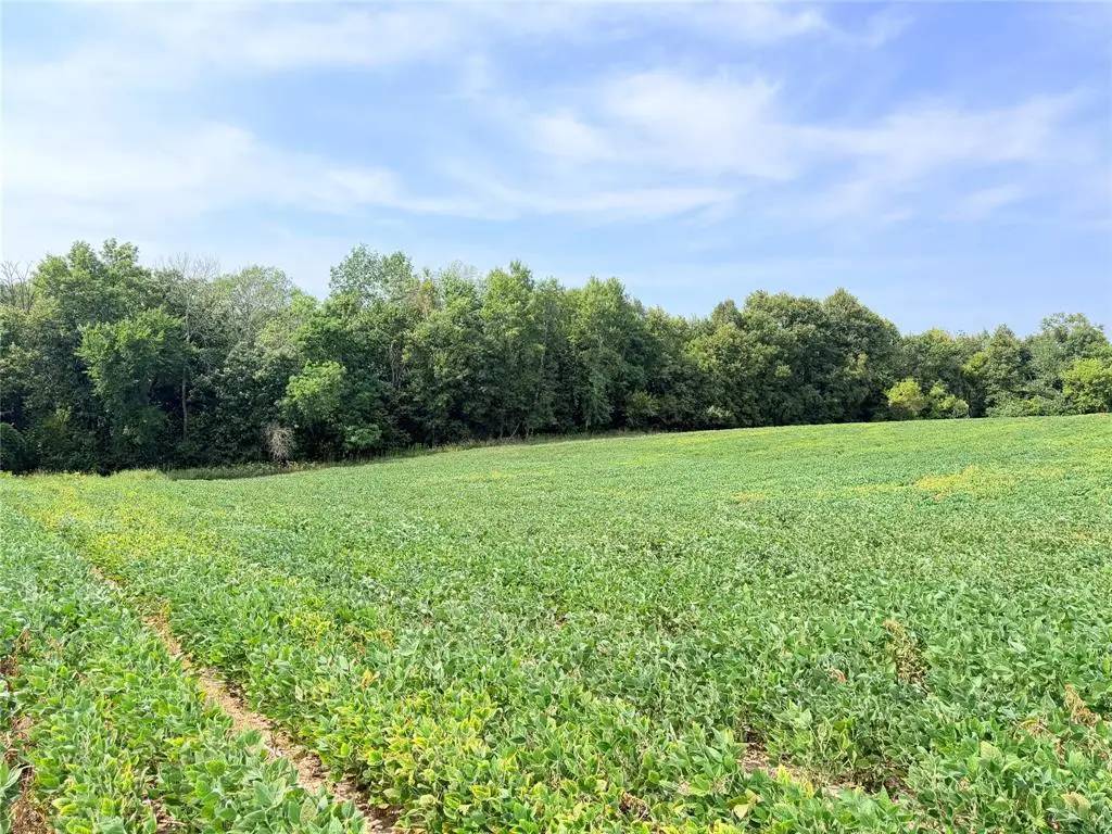 10 Acres Lot 3 230th Street, Saint Croix Falls, WI 54024 - #1
