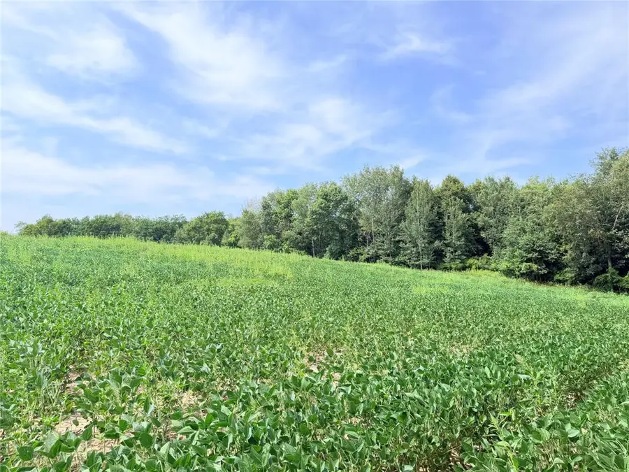 10 Acres Lot 3 230th Street, Saint Croix Falls, WI 54024 - #2