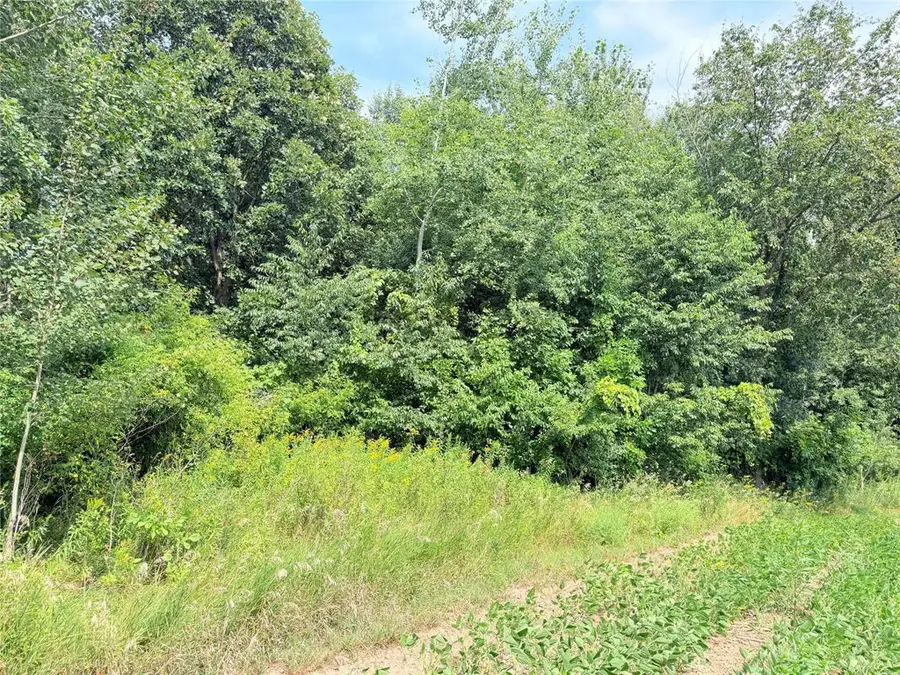 10 Acres Lot 3 230th Street, Saint Croix Falls, WI 54024 - #3