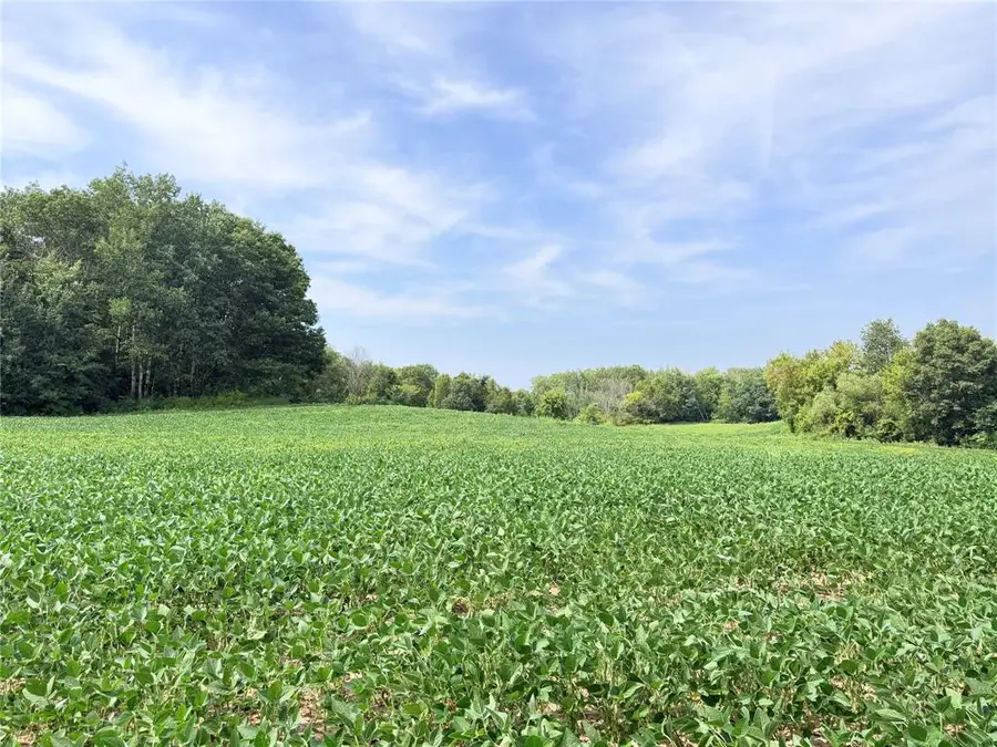 Lot 2 - 10 Acres 230th Street, Saint Croix Falls, WI 54024 - #3