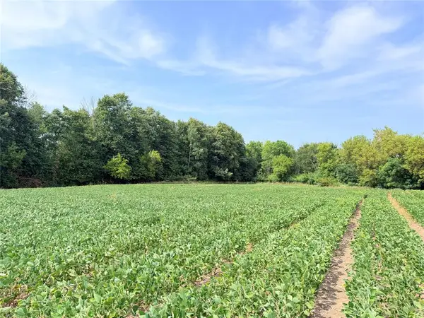 11.97 Acres 230th Street, St Croix Falls, WI 54024