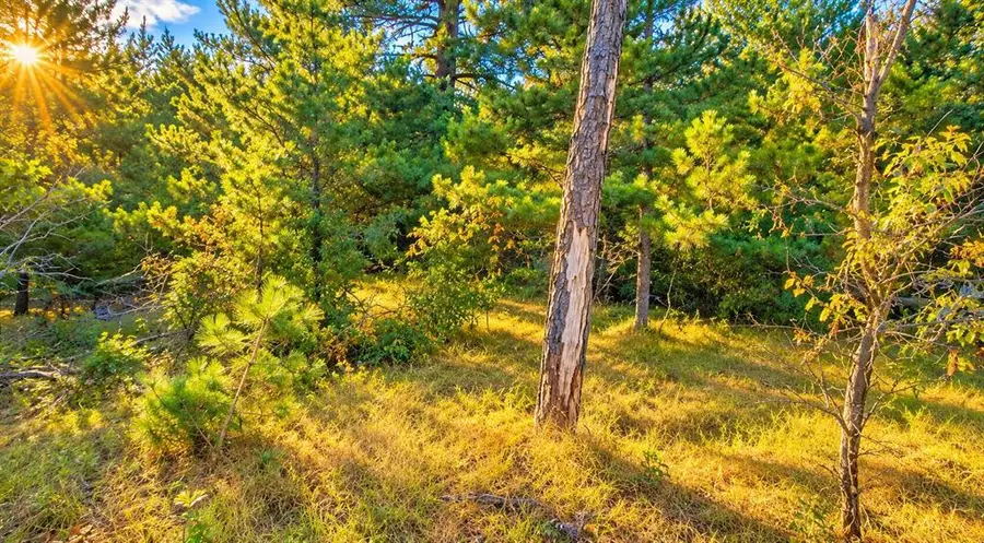 TBD Souix Lane, New Lisbon, WI 53950 - #2