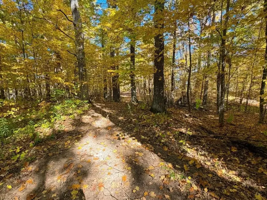 Lot 78, 79 Loons Landing Road, Weyerhaeuser, WI 54895 - #3