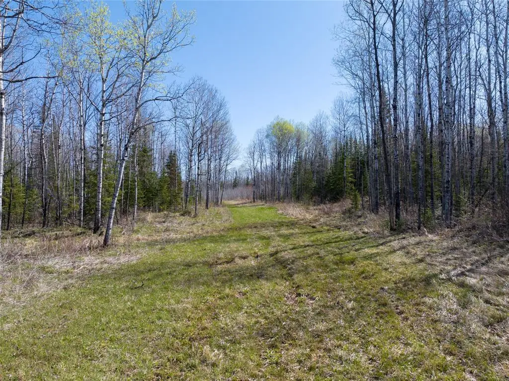 TBD Swedlund Road, Herbster, WI 54844 - #1