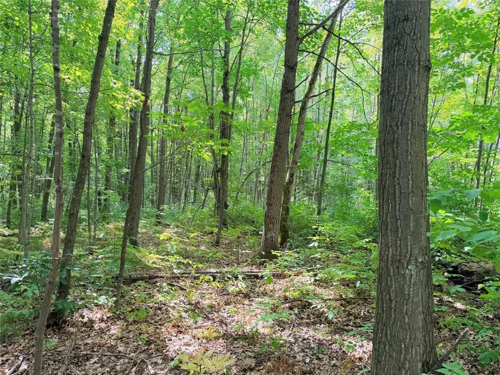 Lot 2 County Highway X, Glen Flora, WI 54526 - #1