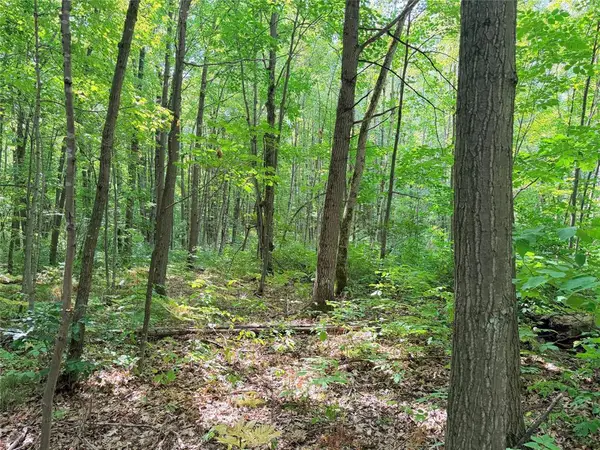Lot 2 County Highway X, Glen Flora, WI 54526