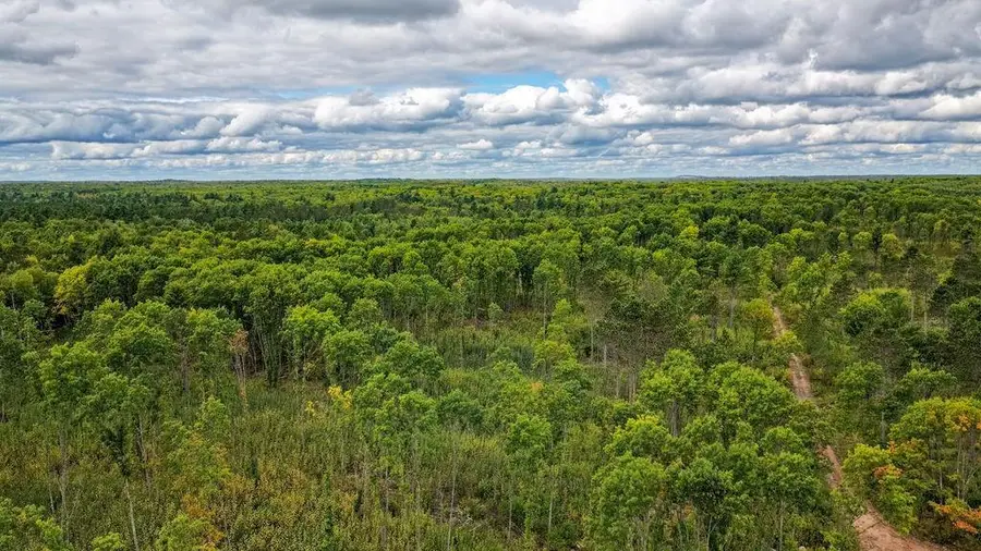 Lot 3 Larson Road, Hayward, WI 54843 - #3