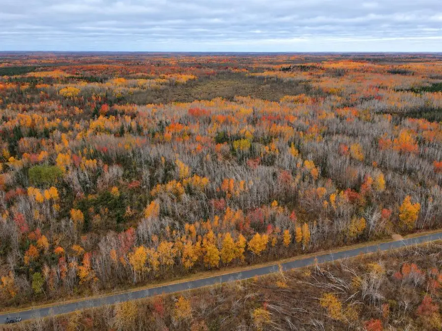 TBD Swedish Highway, Dairyland, WI 54830 - #3