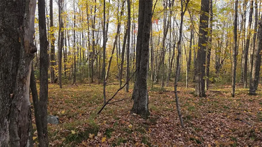 W2675 Forestview Lane, Phillips, WI 54555 - #3