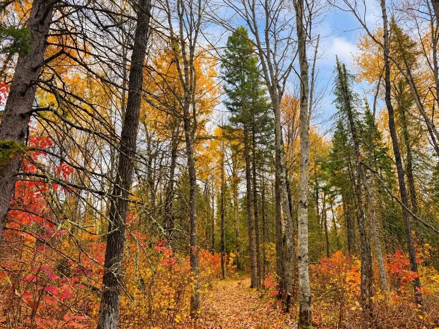 Parcel 1 County Road A, Solon Springs, WI 54873 - #3