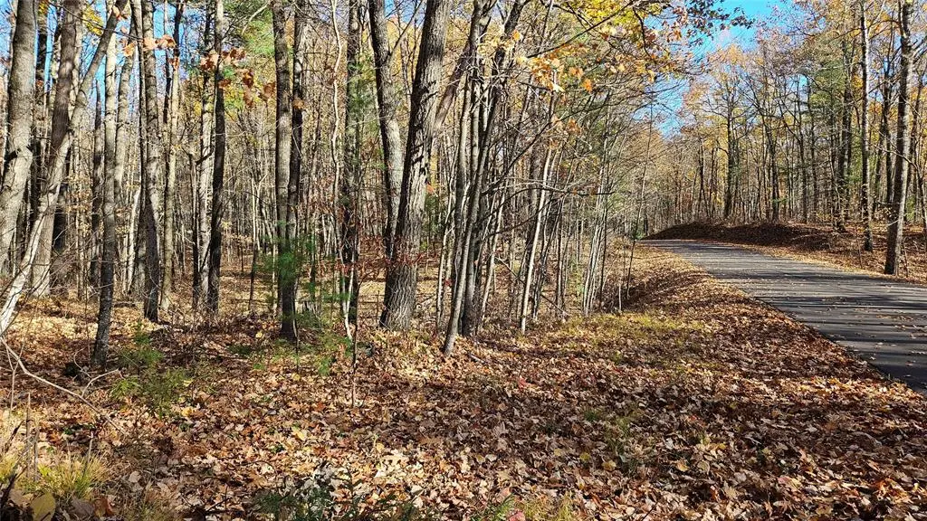 Lot 1 Goss Road, Hayward, WI 54843 - #1
