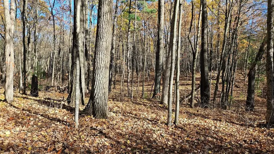 Lot 1 Goss Road, Hayward, WI 54843 - #3