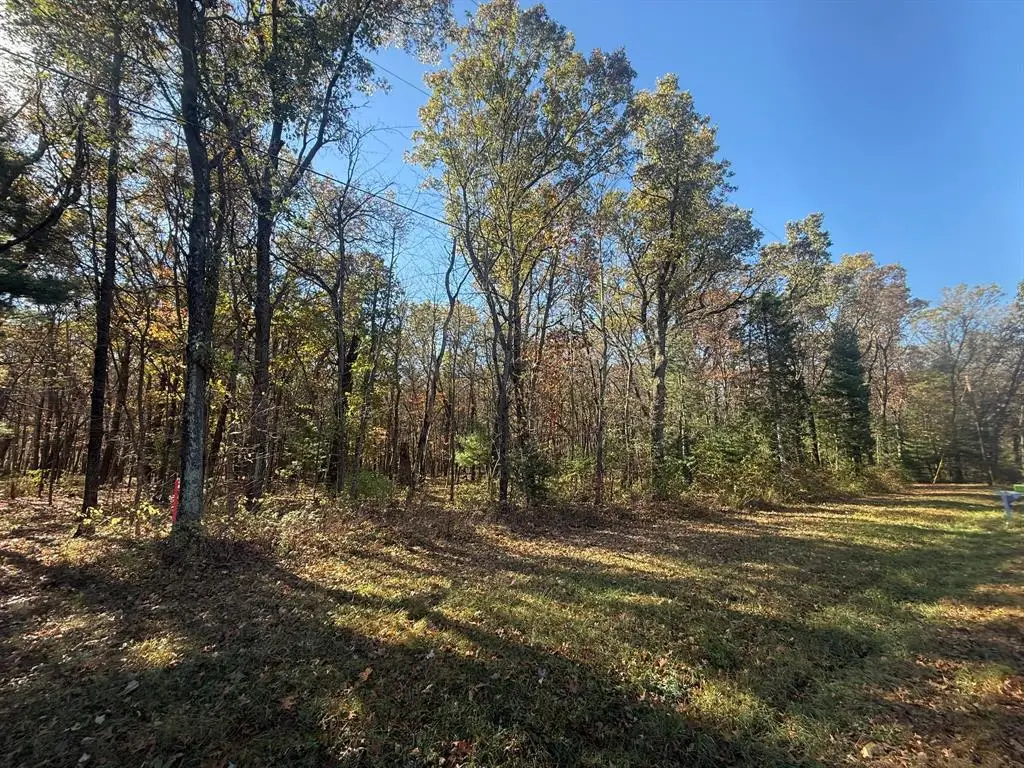 0 Willow Road, Eleva, WI 54738 - #1