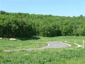 #3