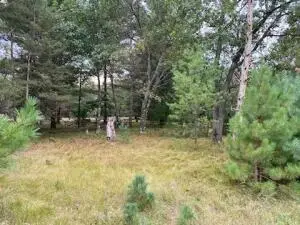 Lt4 CARRIAGE ROAD #Pcl251006490004, Montello, WI 53949 - Image #2