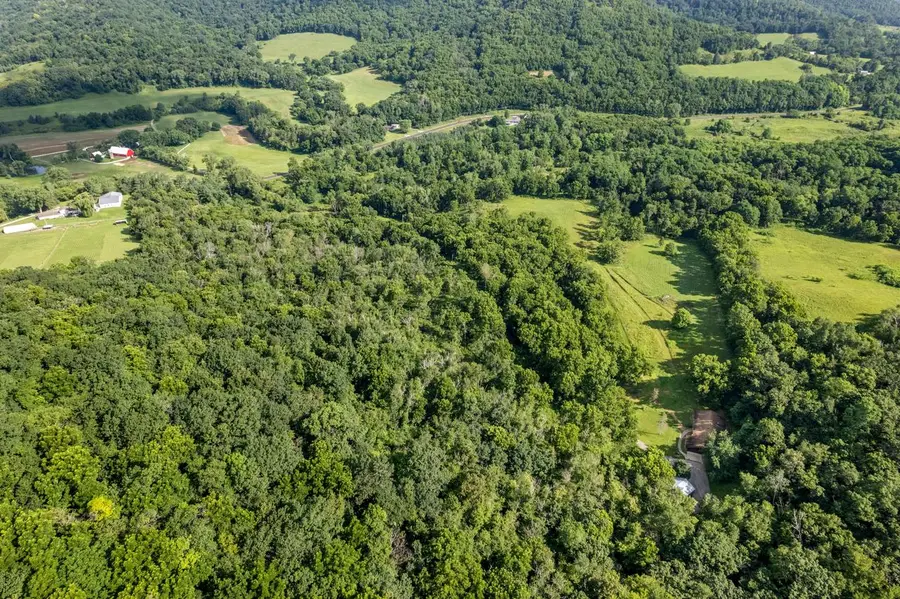 24334 County Rd 9, Homer Township, MN 55987 - Image #3