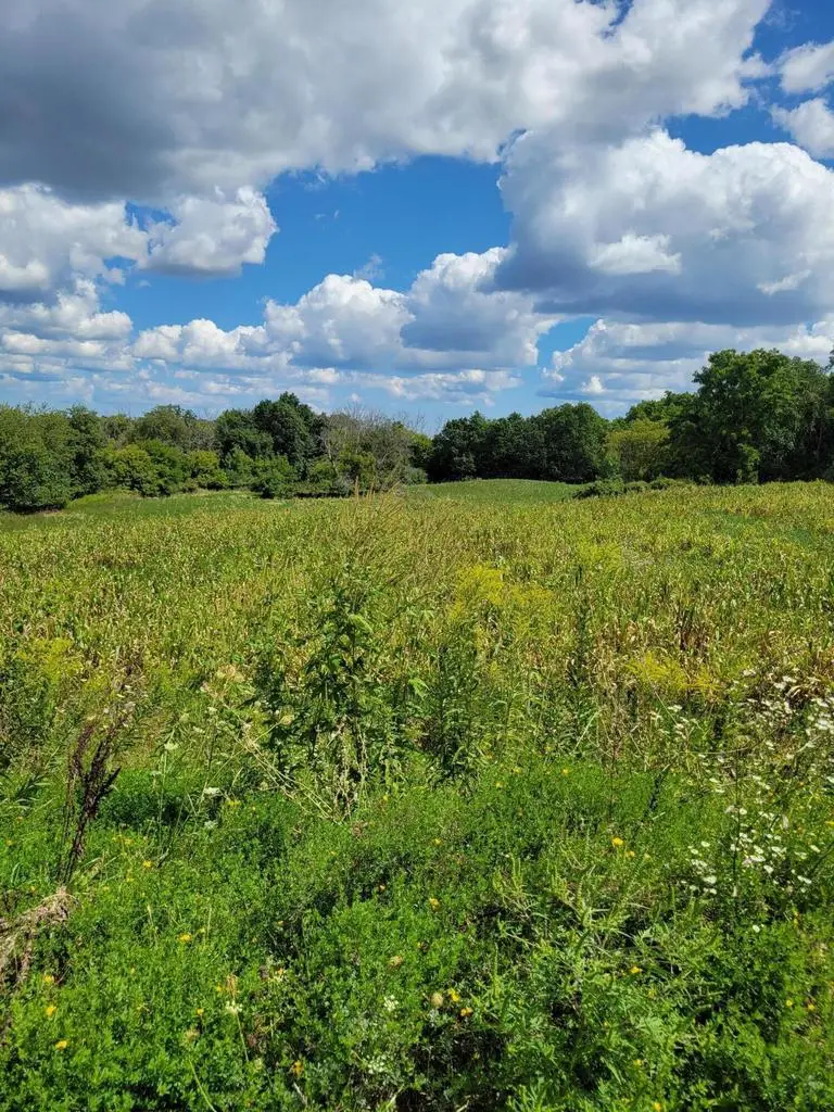 Lt0 MAPLE AVENUE, Sussex, WI 53089 - Image #2