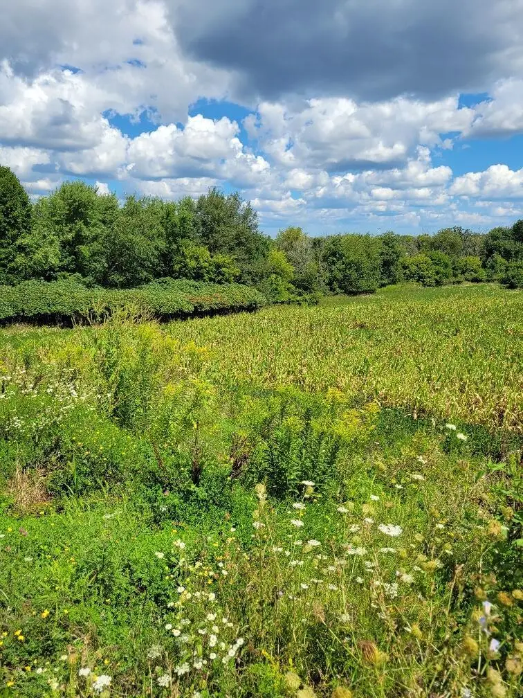 Lt0 MAPLE AVENUE, Sussex, WI 53089 - Image #3