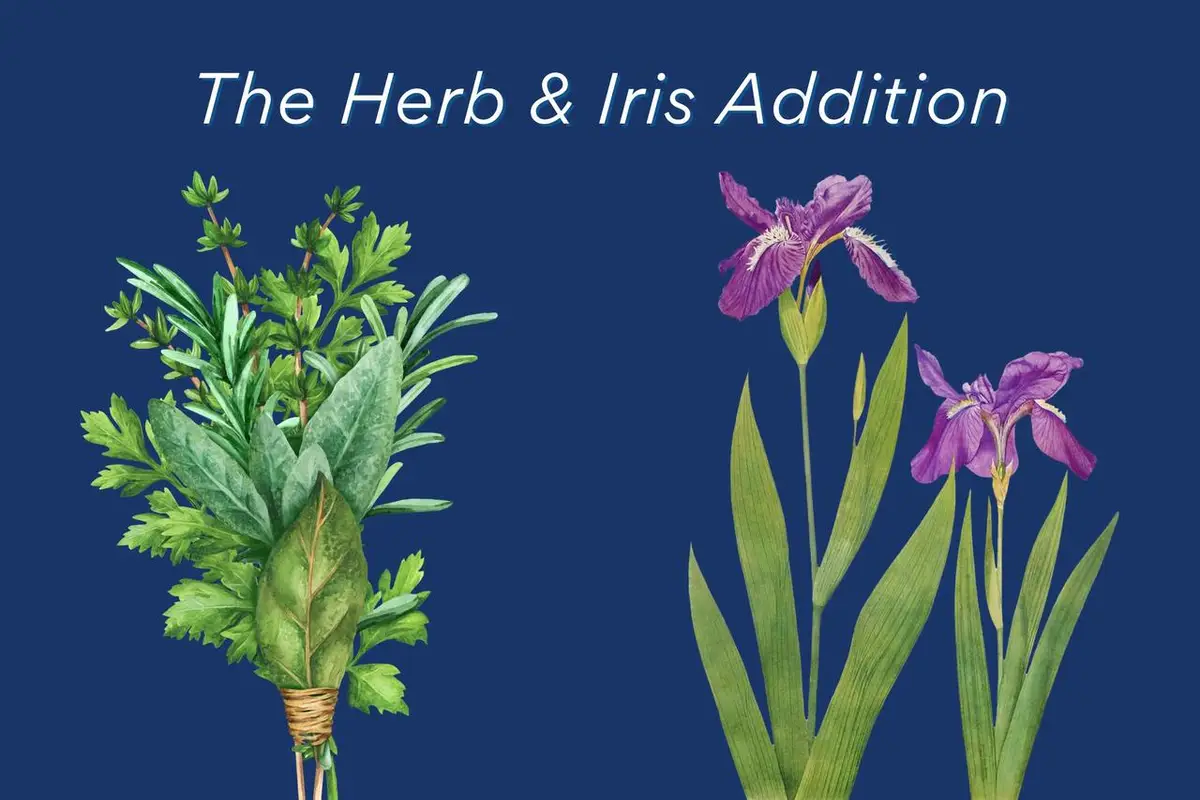 Lot 2 BLOCK 8, Holmen, WI 54636 - Image #1