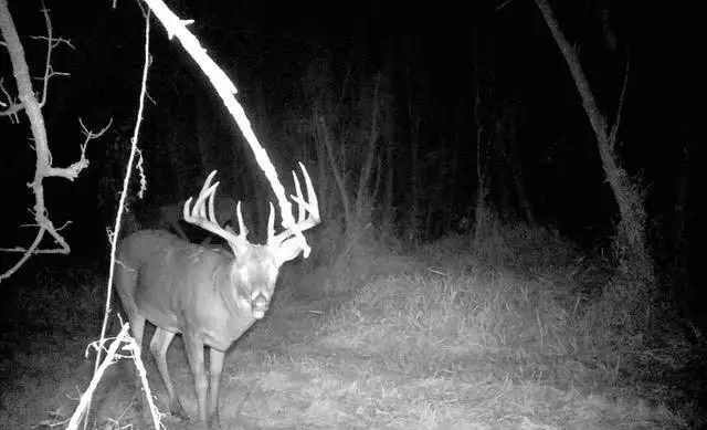 S2986 BARTH ROAD, Fountain City, WI 54629 - Image #2