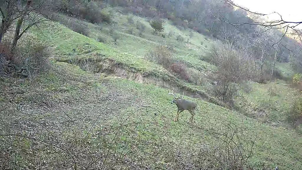 Lot 1 329 ACRES COUNTY ROAD S, Boscobel, WI 53805 - Image #1