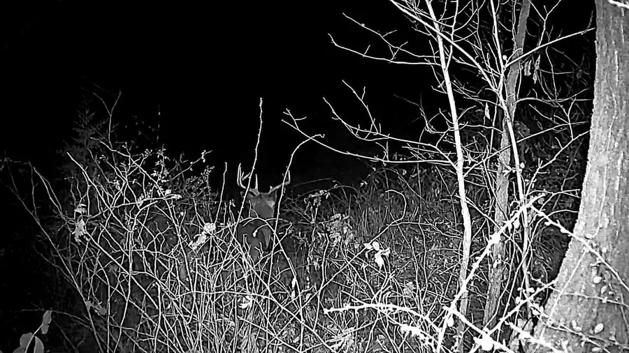 Lot 1 329 ACRES COUNTY ROAD S, Boscobel, WI 53805 - Image #3