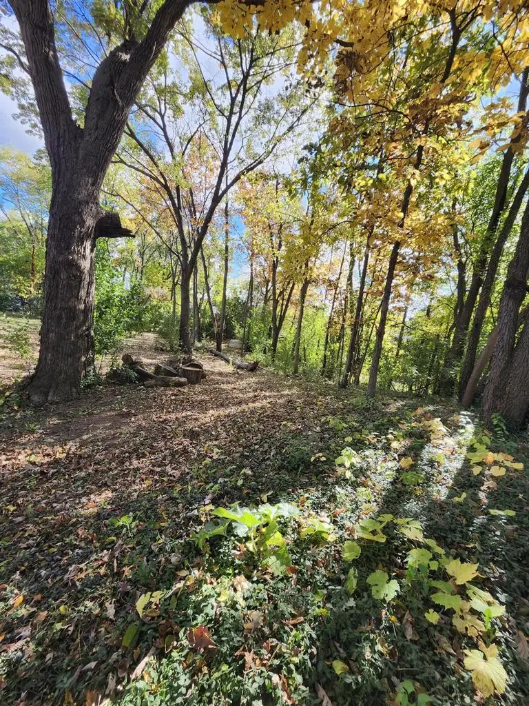 33625 PALM DRIVE, Burlington, WI 53105 - Image #2