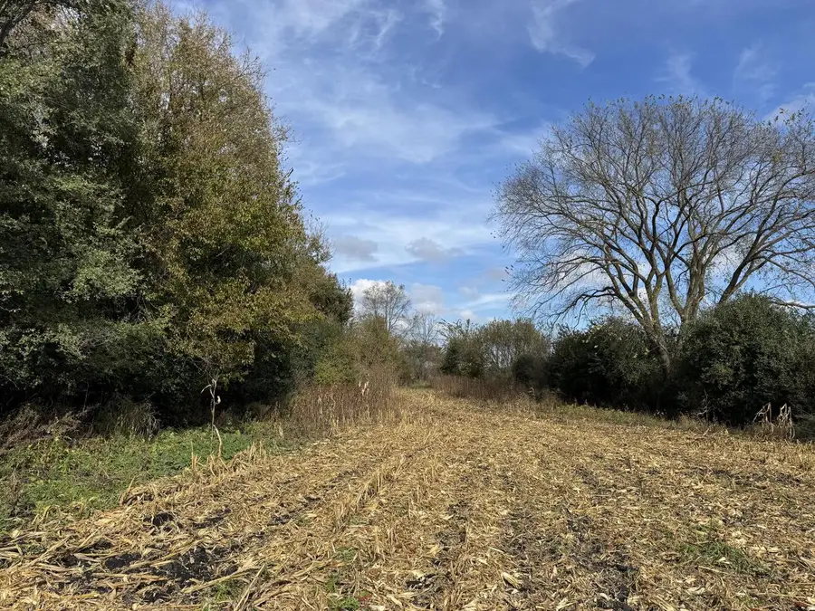 Lt9 LEO LANE, Big Bend, WI 53103 - Image #3