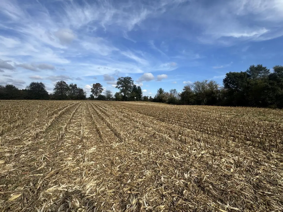 Lt10 LEO LANE, Big Bend, WI 53103 - Image #1