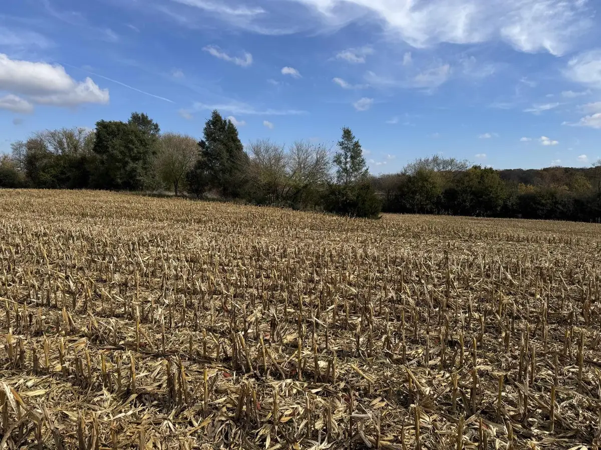 Lt11 LEO LANE, Big Bend, WI 53103 - Image #1