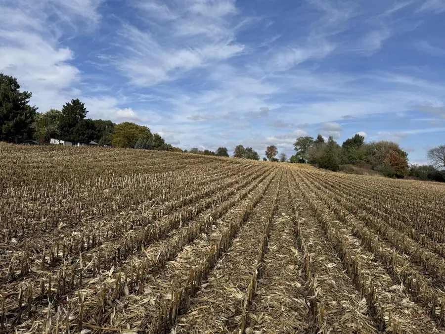 Lt13 LEO LANE, Big Bend, WI 53103 - Image #2