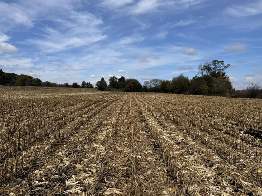 Lt15 LEO LANE, Big Bend, WI 53103 - Image #2