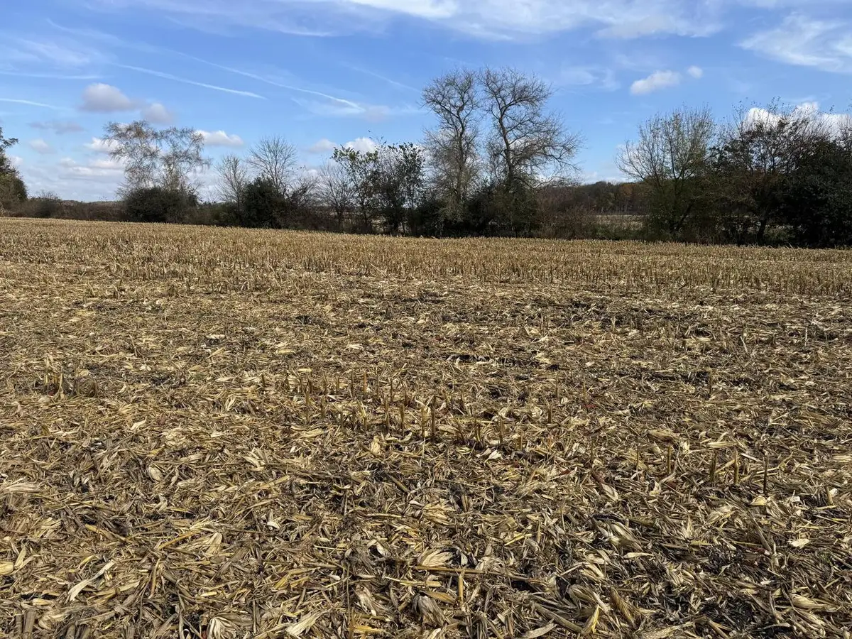 Lt16 LEO LANE, Big Bend, WI 53103 - Image #1