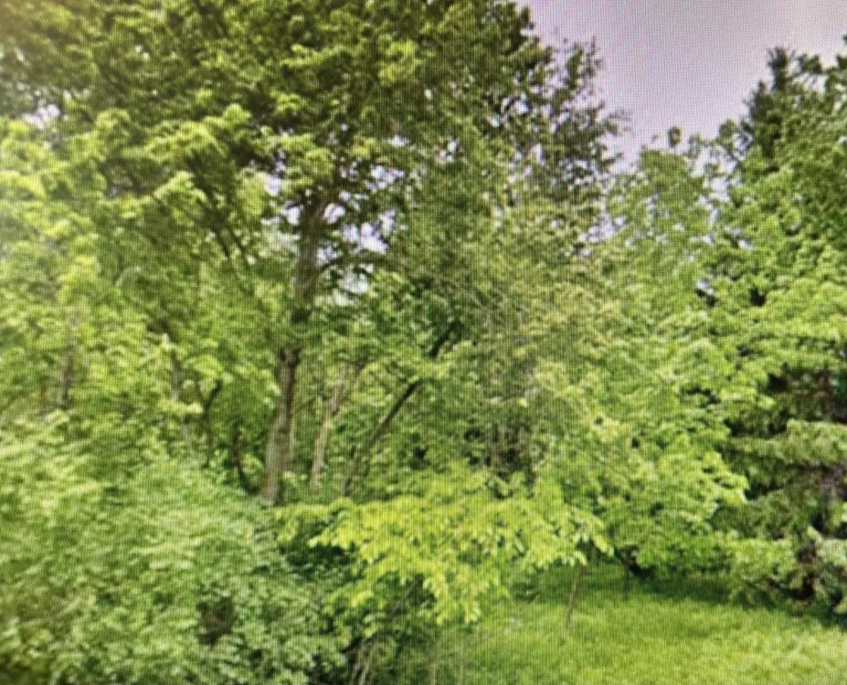 Lt1 COUNTY HIGHWAY CC, Slinger, WI 53086 - Image #1