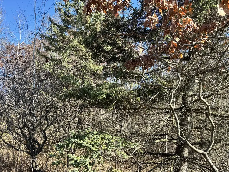 Lt1 COUNTY HIGHWAY CC, Slinger, WI 53086 - Image #3