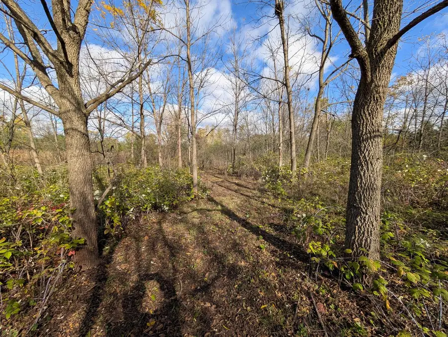 Lt2 W ST. MARTINS ROAD, Franklin, WI 53132 - Image #2