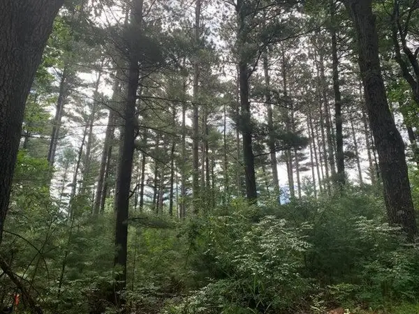 22.35AC ON BEAVER AVENUE, Nekoosa, WI 54457