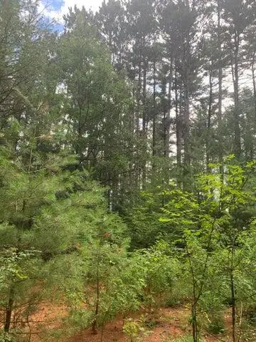 22.35AC ON BEAVER AVENUE, Nekoosa, WI 54457 - Image #2