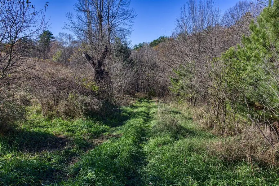 25024 Norhardt AVENUE, Ontario, WI 54651 - Image #3