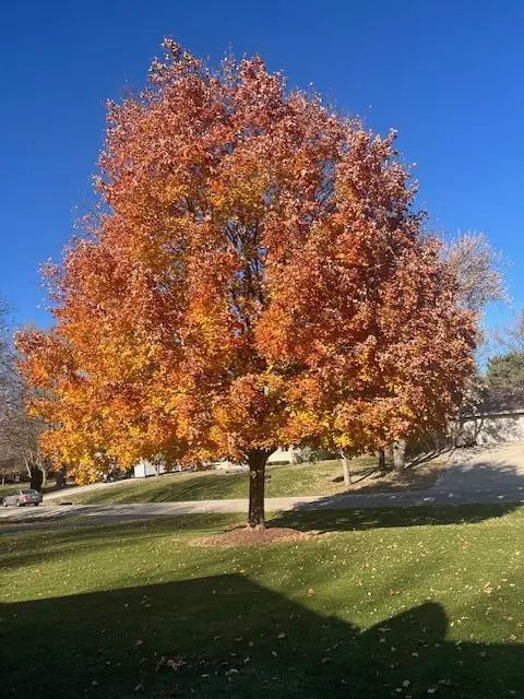 18045 Continental DRIVE, Brookfield, WI 53045