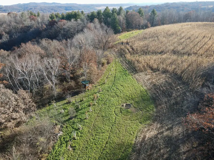 0 COUNTY ROAD D, Ettrick, WI 54627 - Image #2